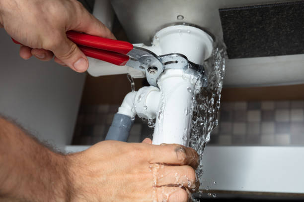 Best Water damage contractors near me  in Newburgh Heights, OH