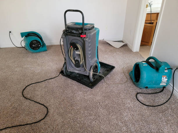 Best Commercial water damage restoration  in Newburgh Heights, OH