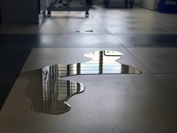 24/7 water damage repair in Newburgh Heights, OH