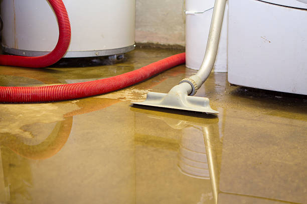 Best Emergency water damage restoration  in Newburgh Heights, OH