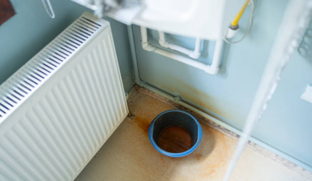 Best Ceiling water damage repair  in Newburgh Heights, OH