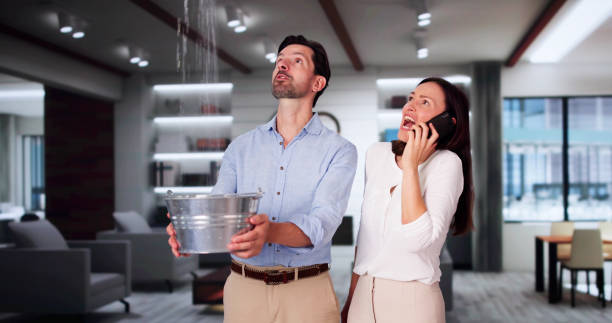 Best 24-hour water damage restoration  in Newburgh Heights, OH