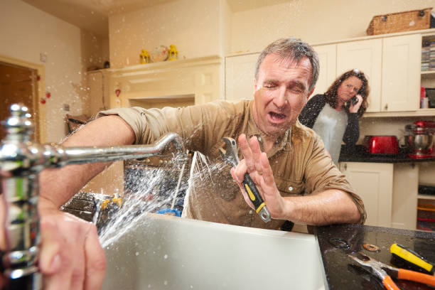 Best 24-hour water damage restoration  in Newburgh Heights, OH
